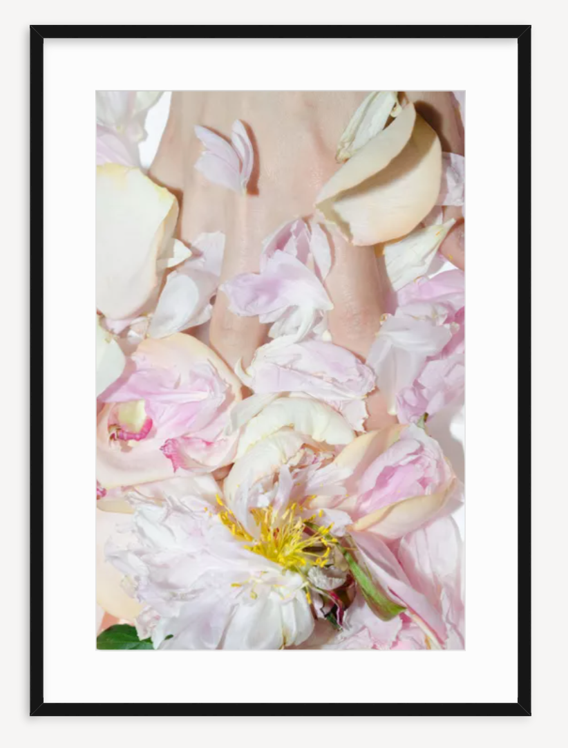 Peony With Flash - Kevin Francis Design