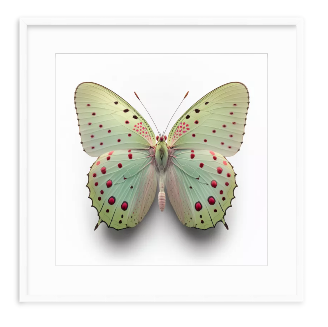 Green Butterfly Shadow Box Fine Art Print by Kevin Francis Design | Atlanta Interior Designer | Luxury Home Decor