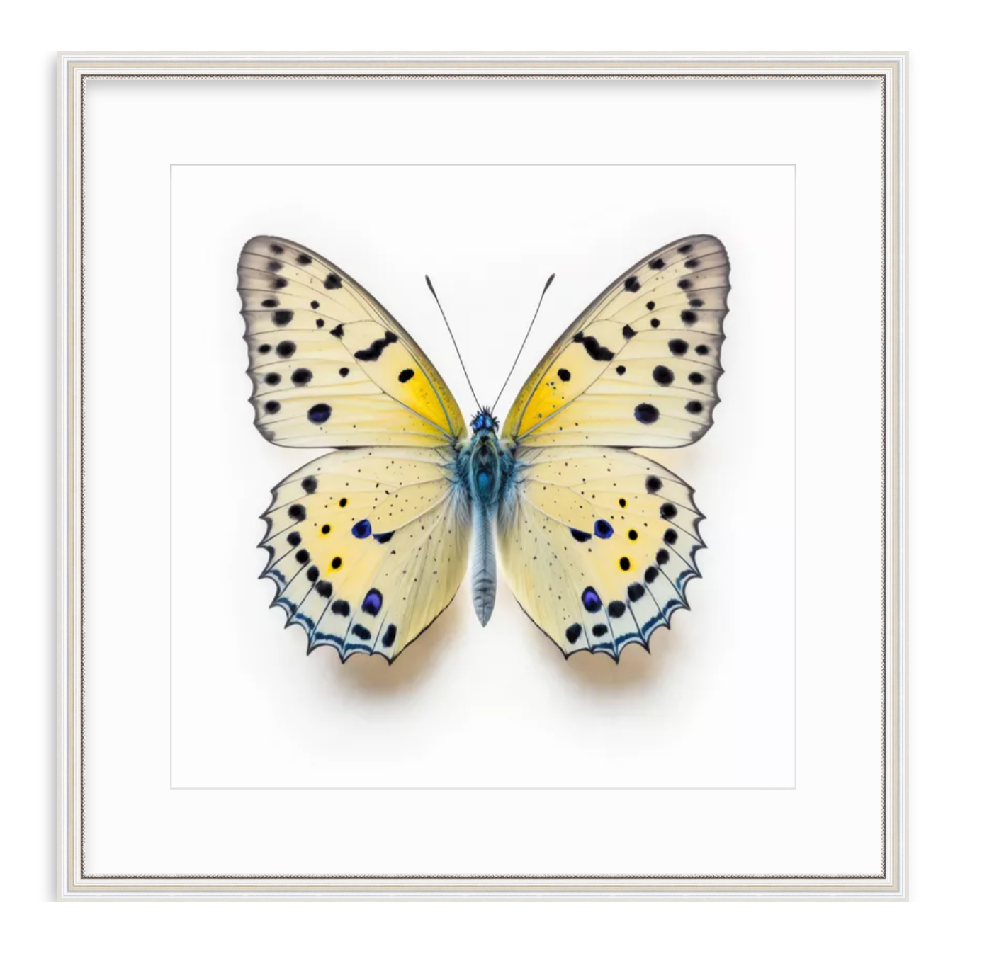 Yellow Butterfly Shadow Box Fine Art Print by Kevin Francis Design | Atlanta Interior Designer | Luxury Home Decor