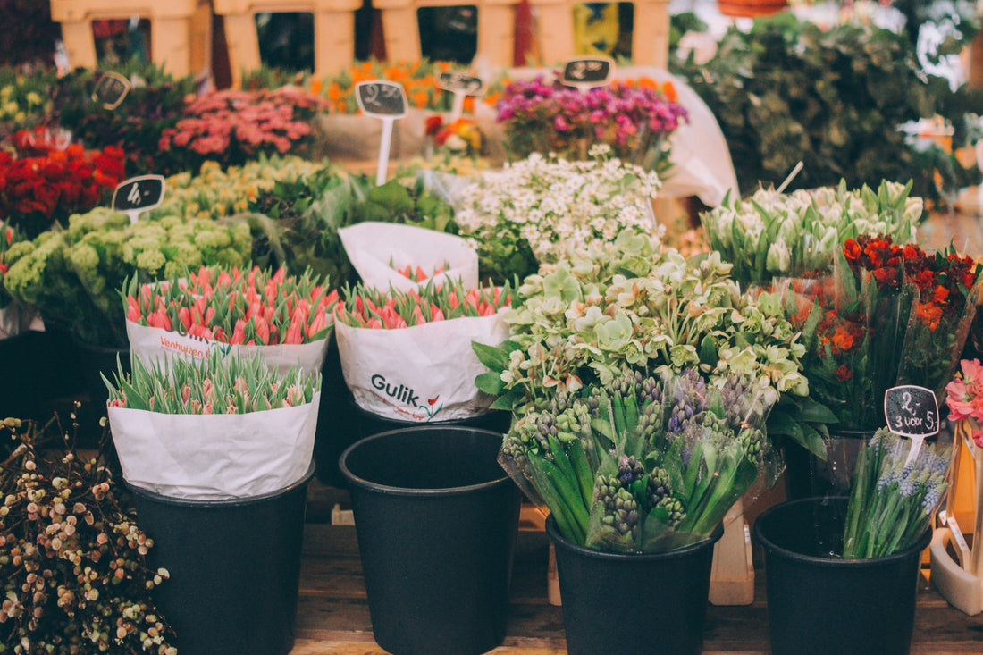 Discovering Top Florists in Minneapolis: Choosing the Perfect Bouquet