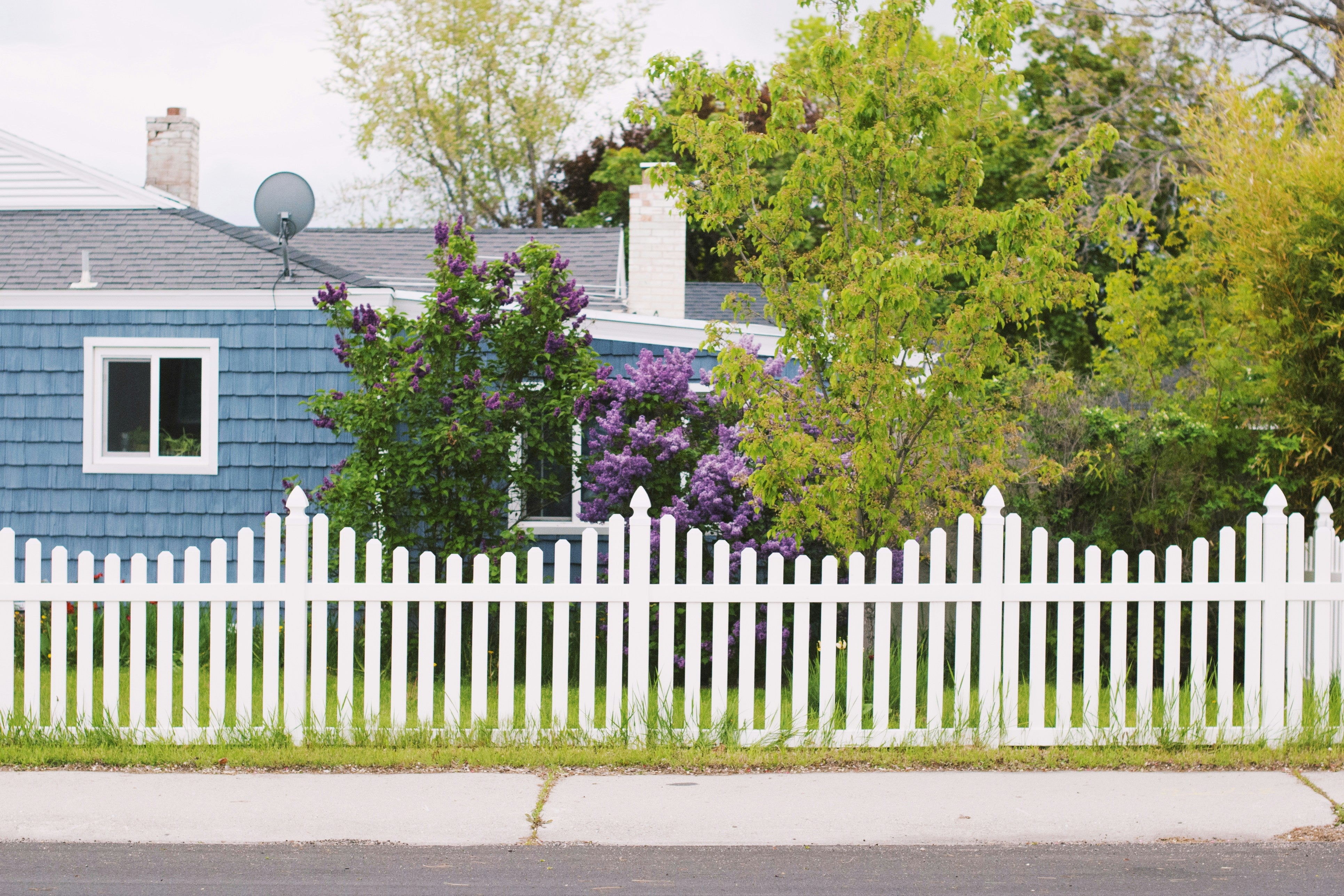 Investing in Quality: Why High-Quality Fencing Solutions Are Worth the Price