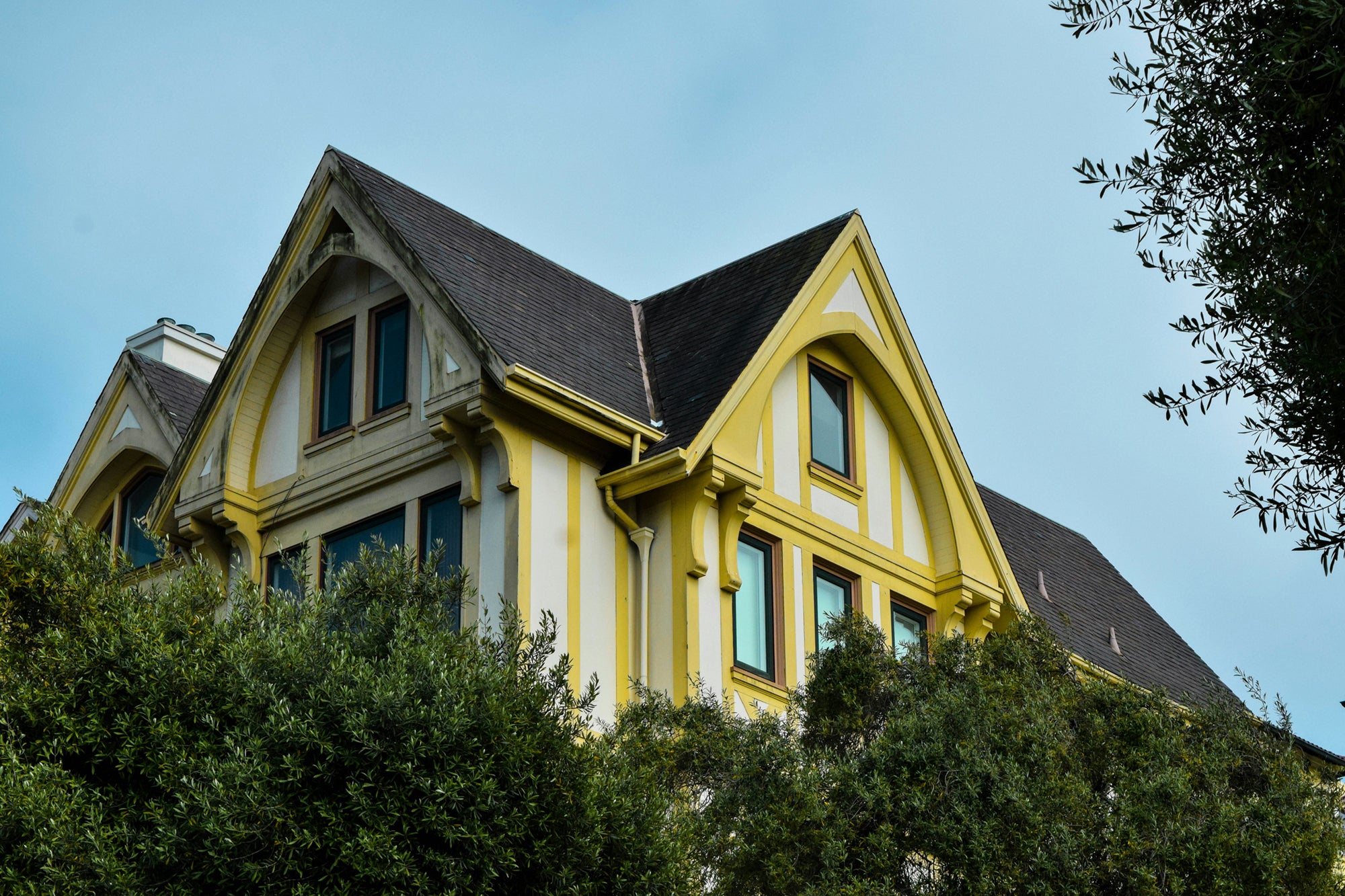 Elevate Your Roof: Expert Upgrades and Maintenance Services