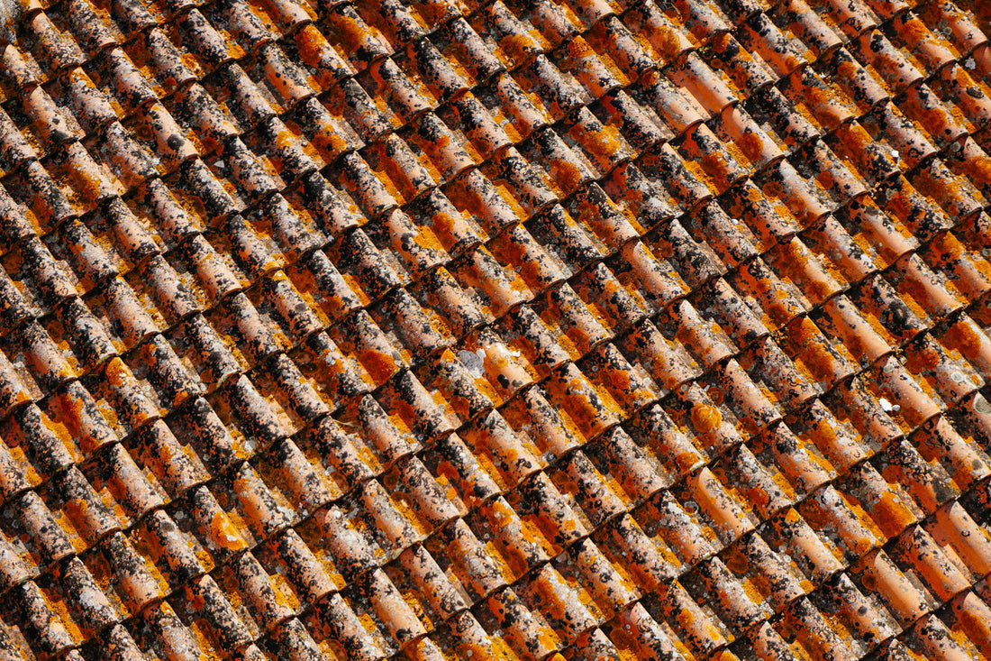Roofing Red Flags: When to Seek Professional Assistance
