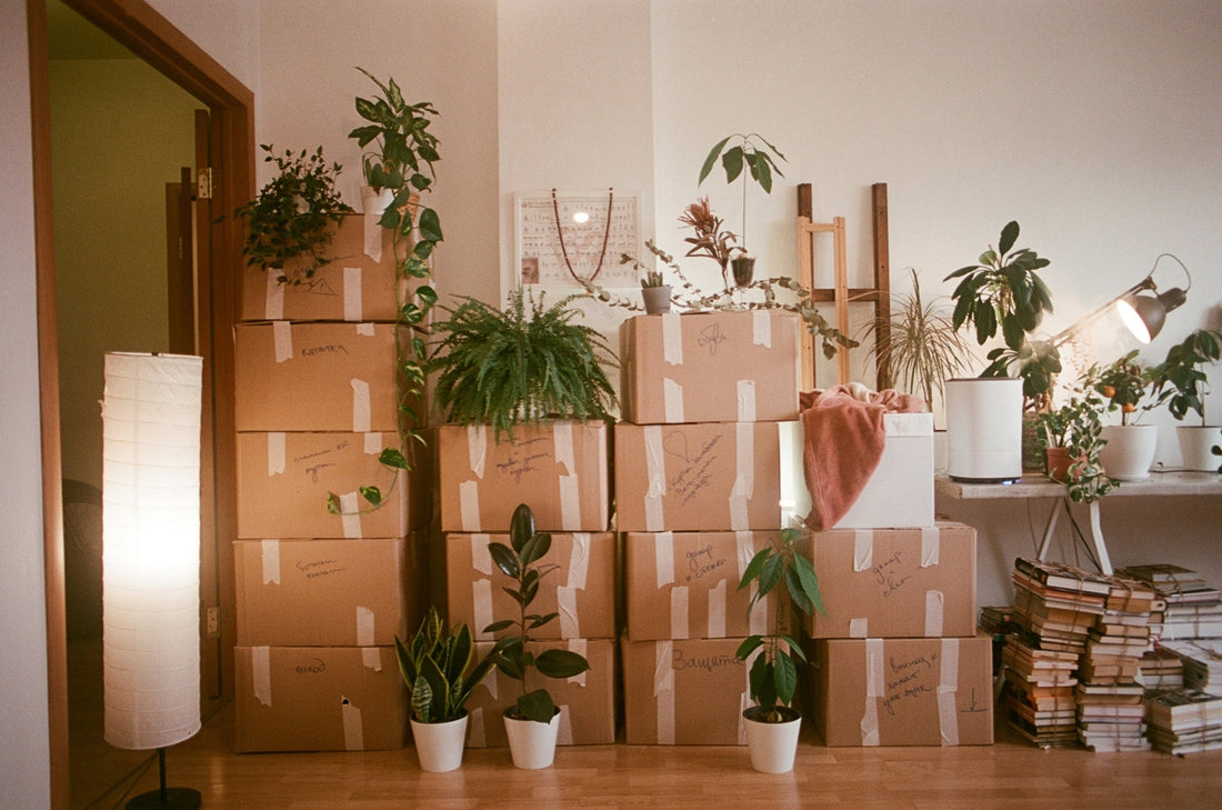 Advantages of Hiring Safe Storage and Moving Company for Your Home