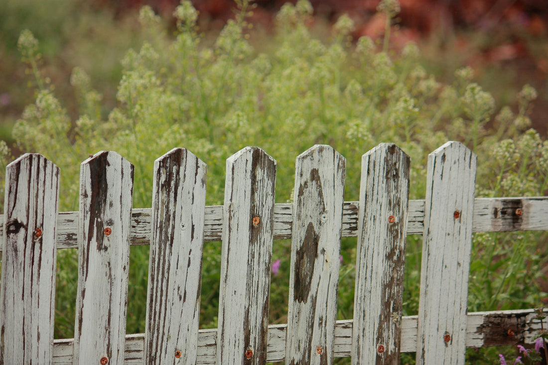 Fence Staining 101: Tools, Techniques, and Tips for a Perfect Finish