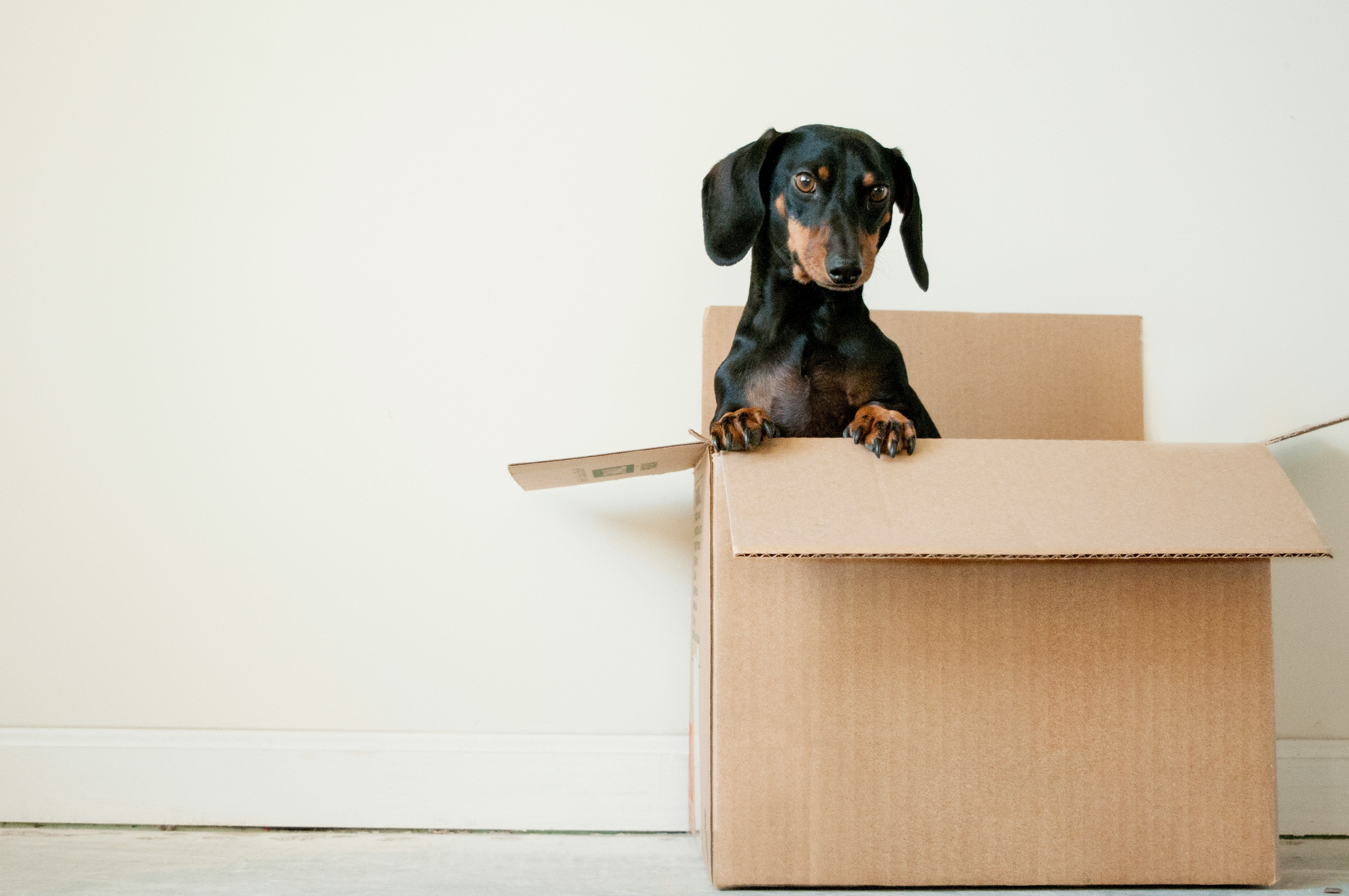 What Makes Moving Home Stressful?