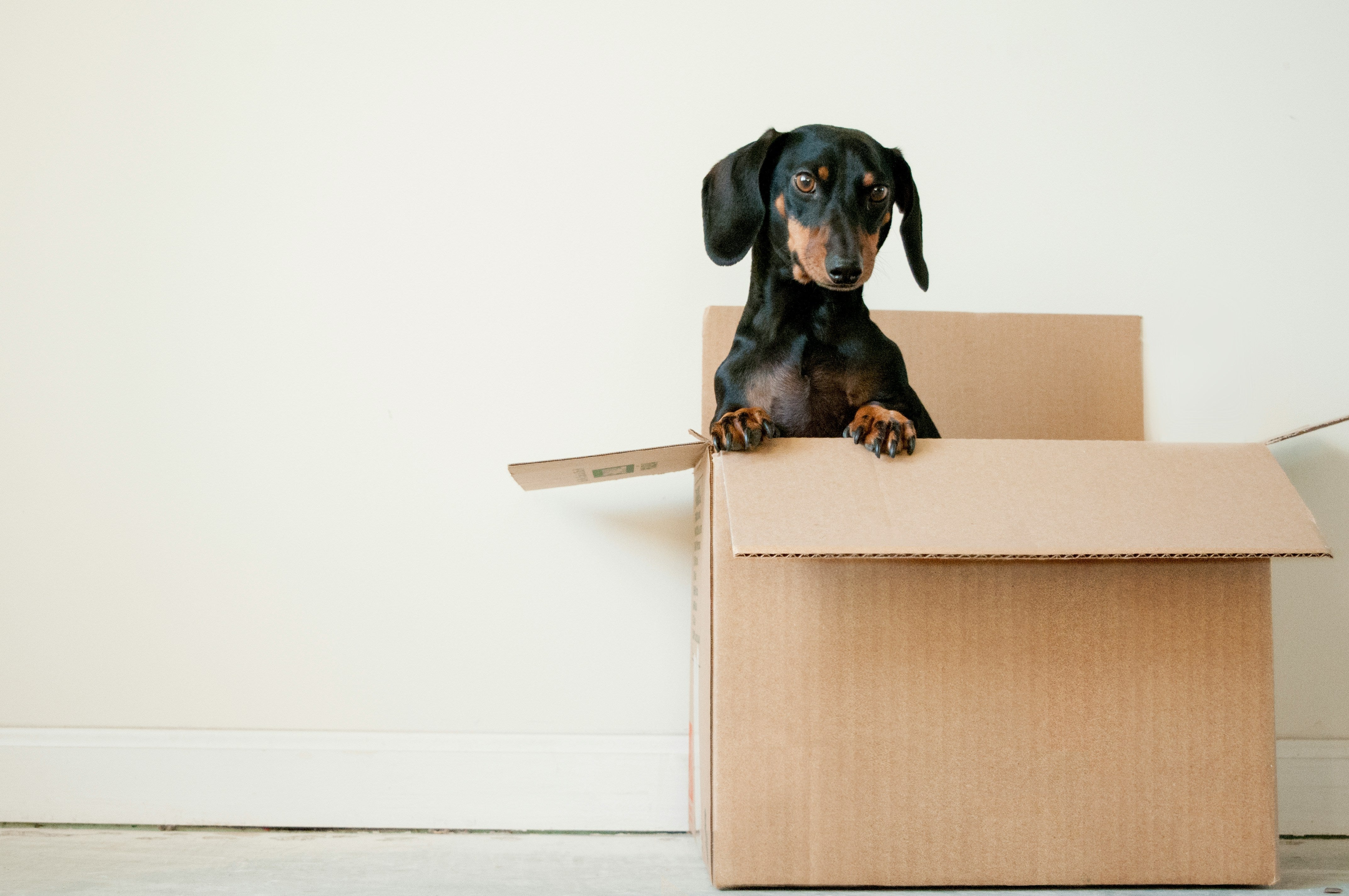 Change Your Address, Change Your Life: 6 Insider Tips for State-to-State Moves