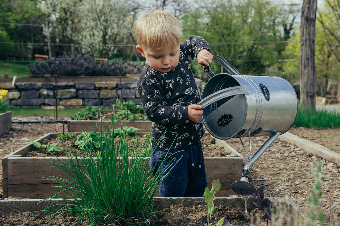 Water Tanks in Landscape Design: Aesthetic and Functional