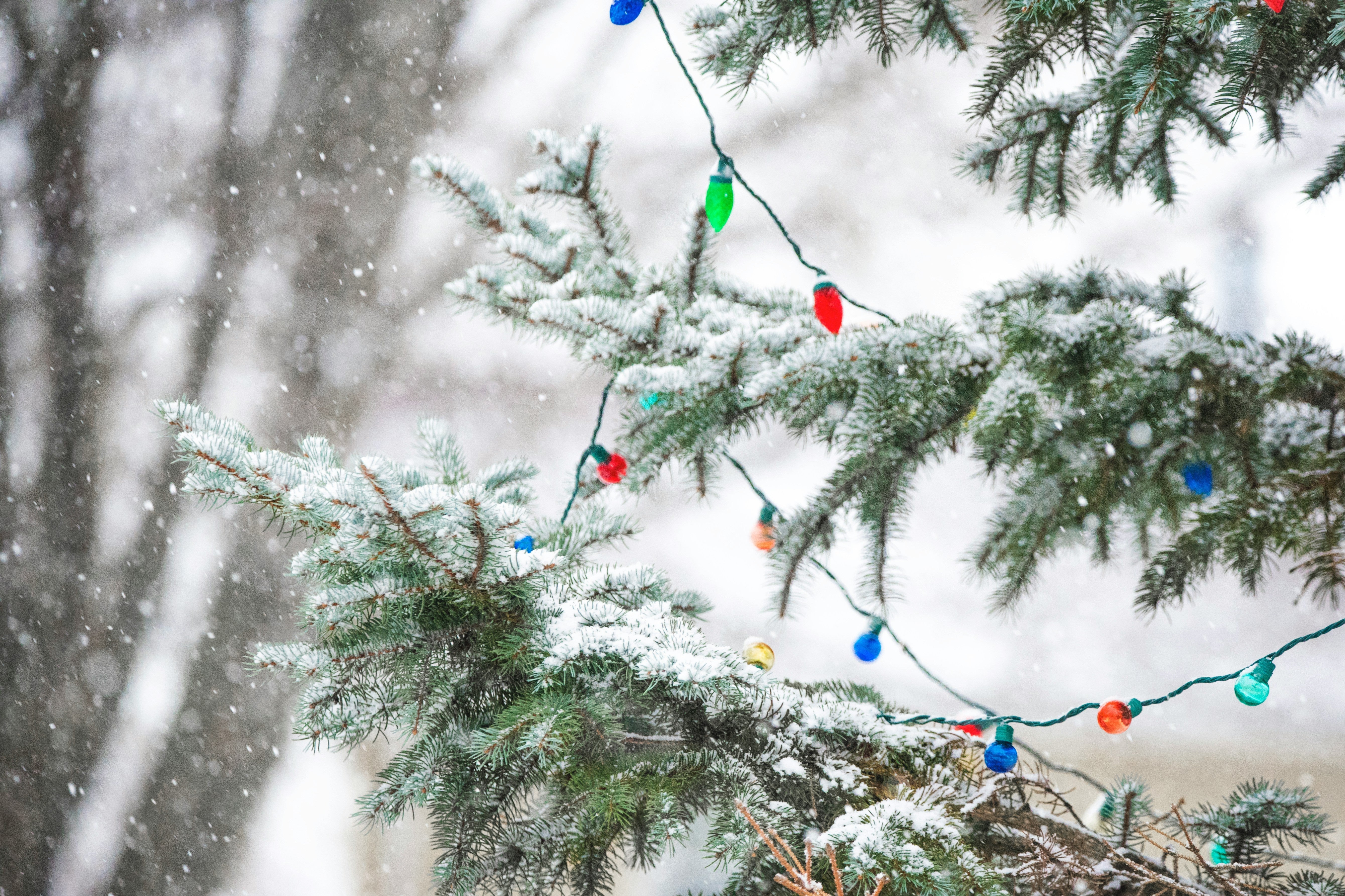 Choosing the Right Christmas Lights for Your Outdoor Space