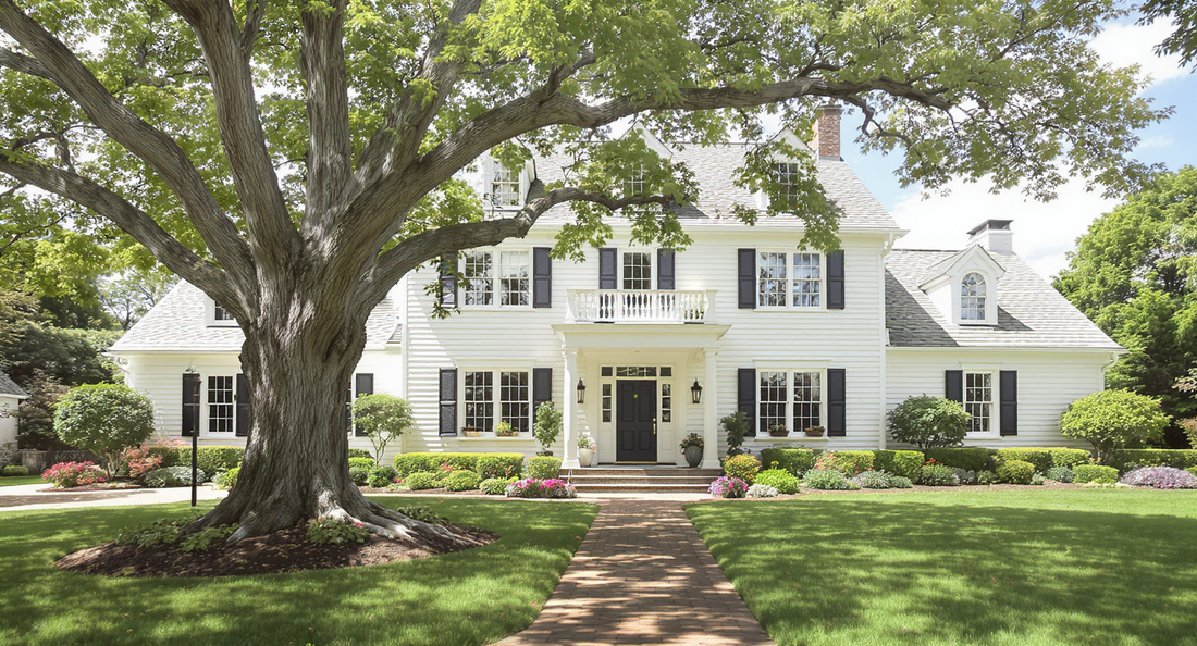 Signs You Should Call Tree Services for Safe Removal