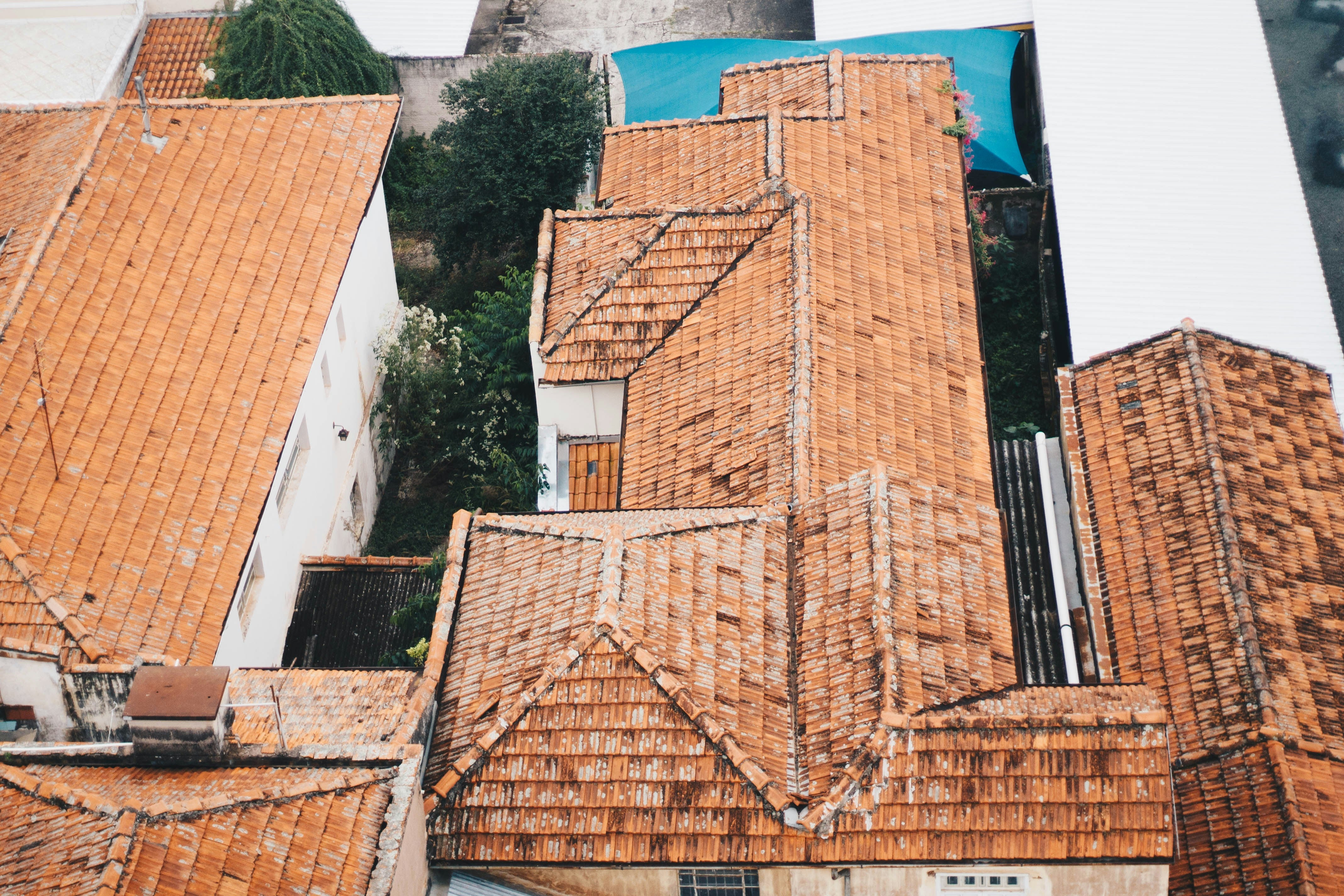 When to Repair vs. Replace Your Roof: Essential Tips from the Pros