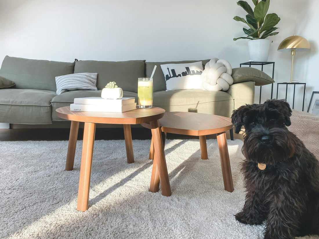 Easy DIY Carpet Cleaning Solutions for Stubborn Stains