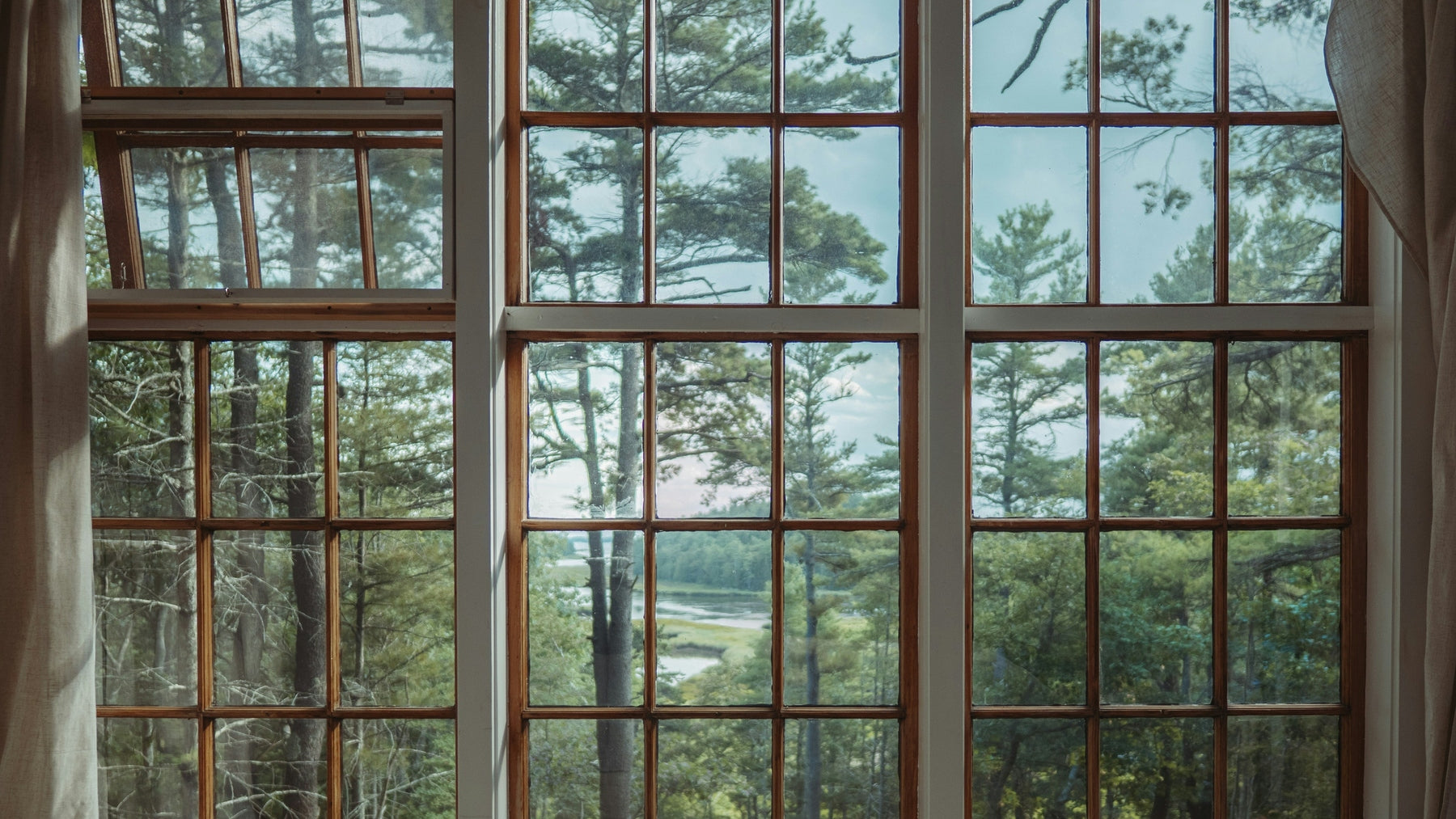 Natural Light Matters - How Window Placement Enhances Your Home’s Effi ...