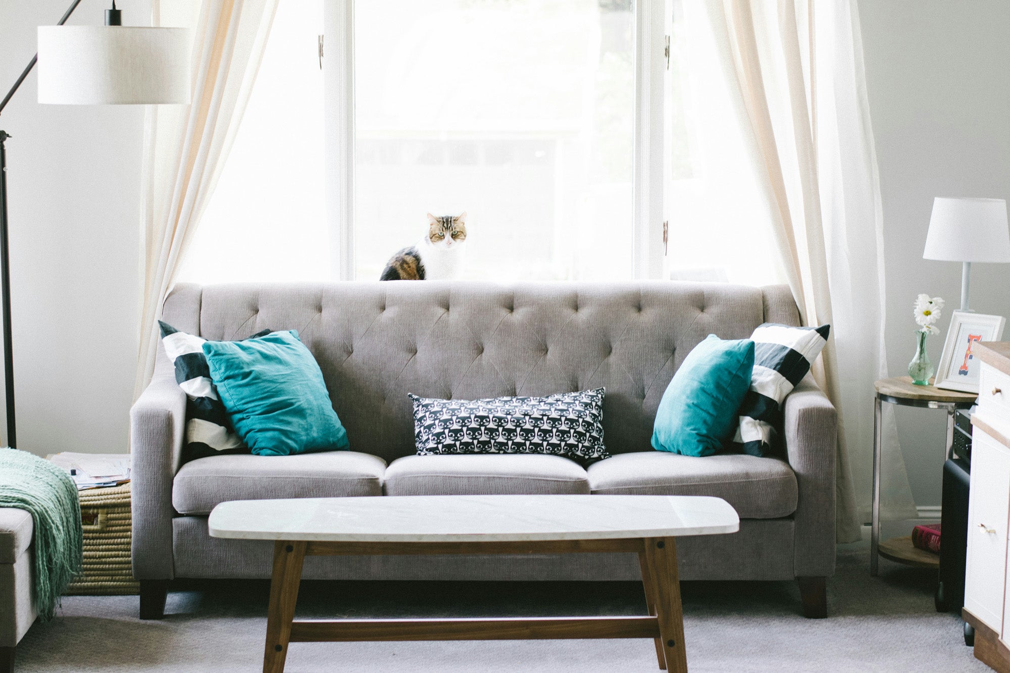 The Benefits of Choosing Affordable Living Room Furniture Over Expensive Options