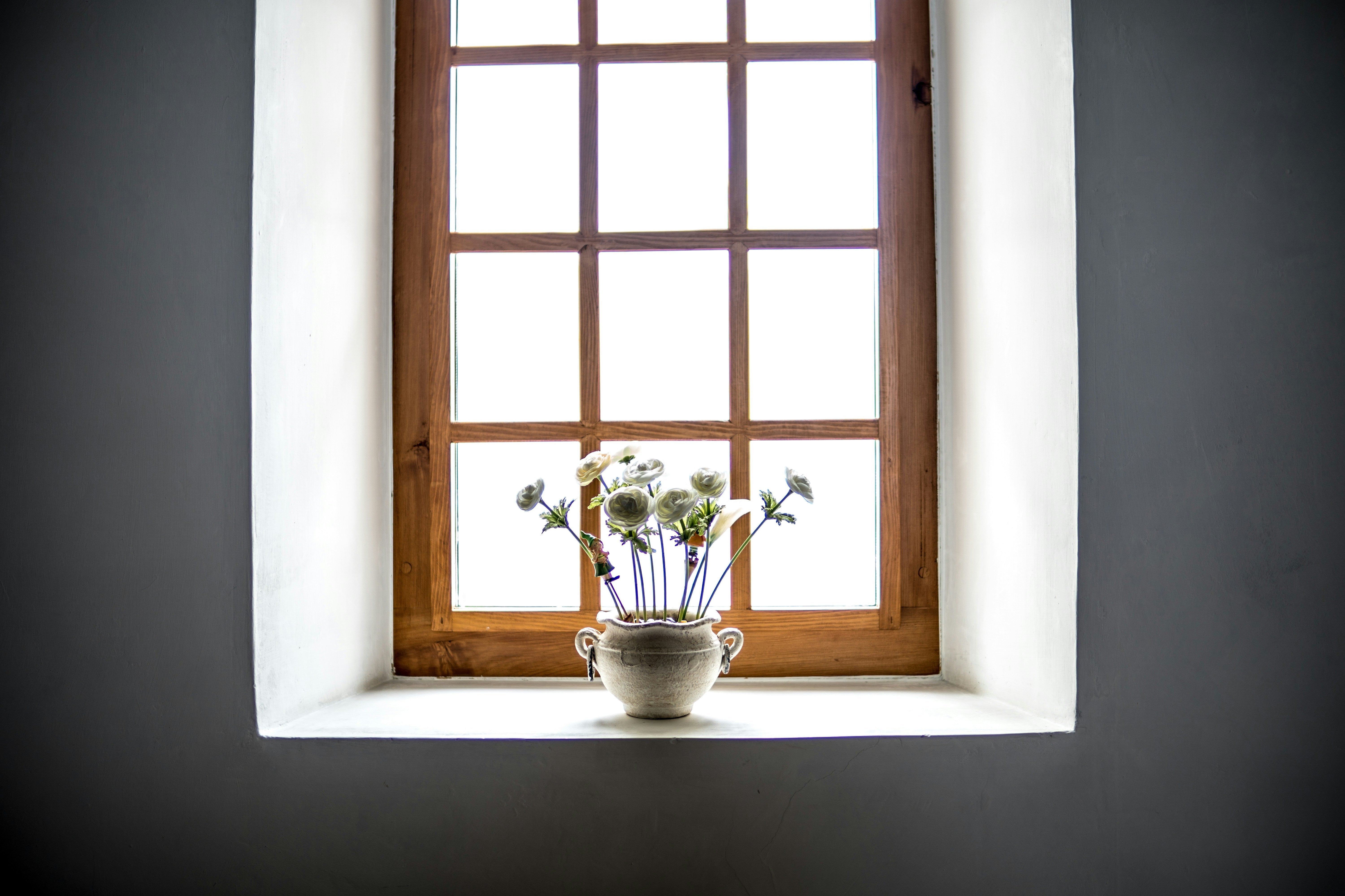 Home Improvement Made Smarter: Upgrade Your Windows with Motorized Blinds