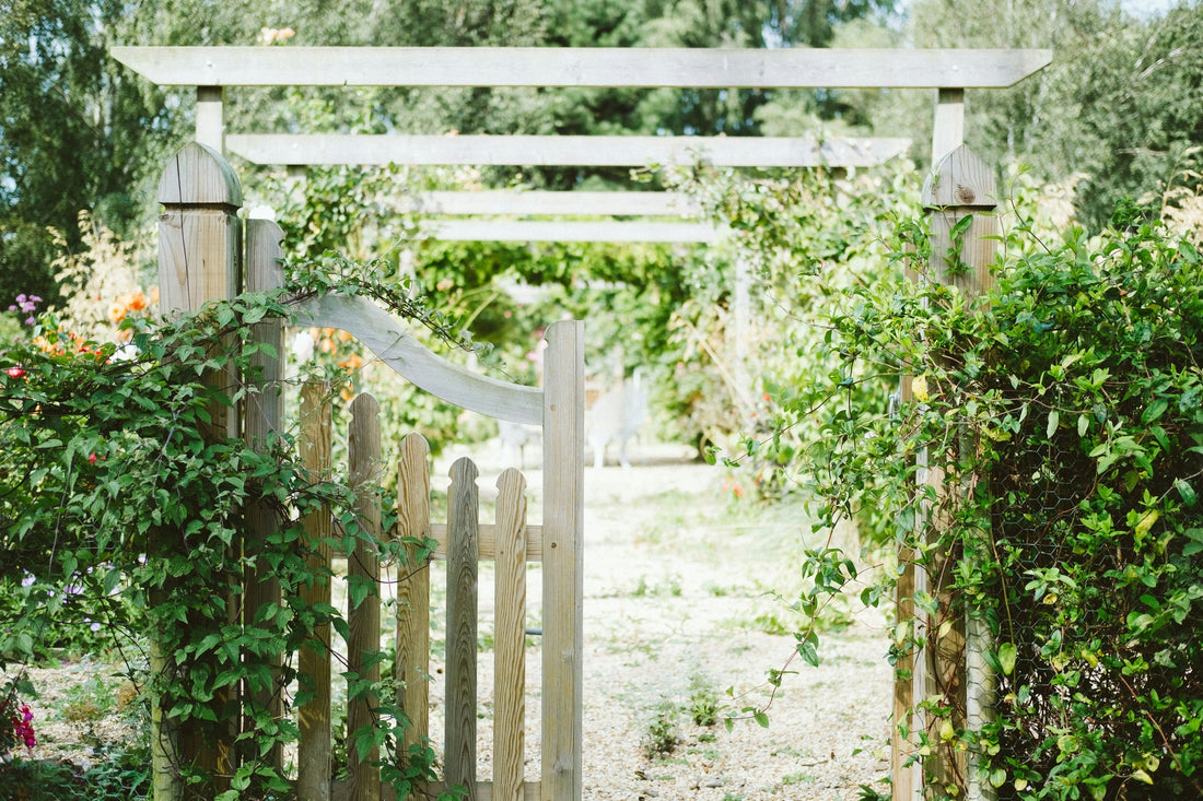 How to Design the Garden of Your Dreams: A Guide