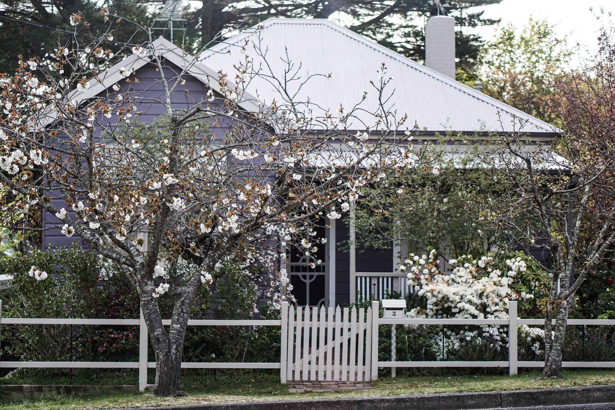 Fascia and Soffit Repair: Keeping Your Roof Structure Intact