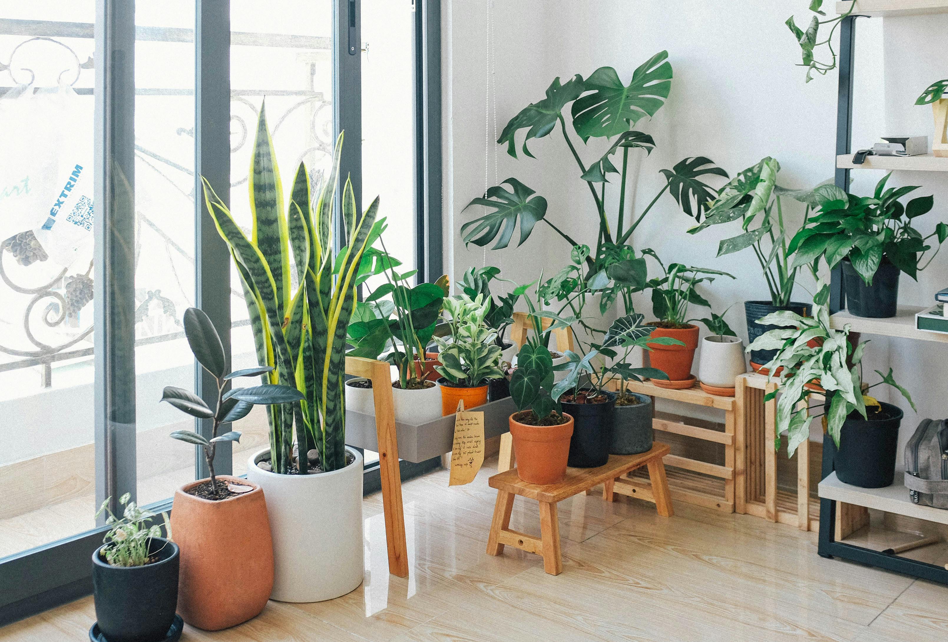 Prefer Indoor Gardens? Structural Home Changes May Help