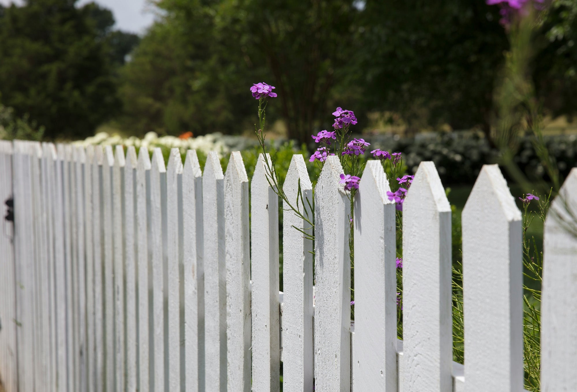 Questions to Ask Before Hiring a Fence Contractor in Cambridge