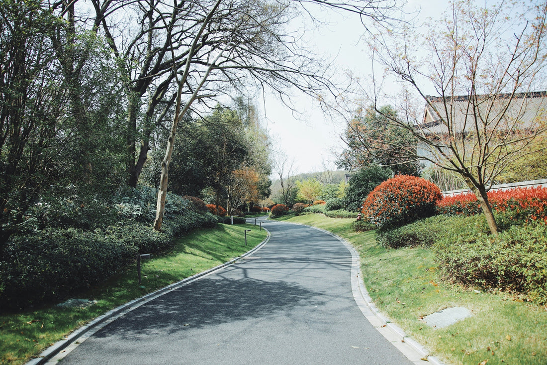 Understanding Resin Driveway Maintenance: Tips and Challenges