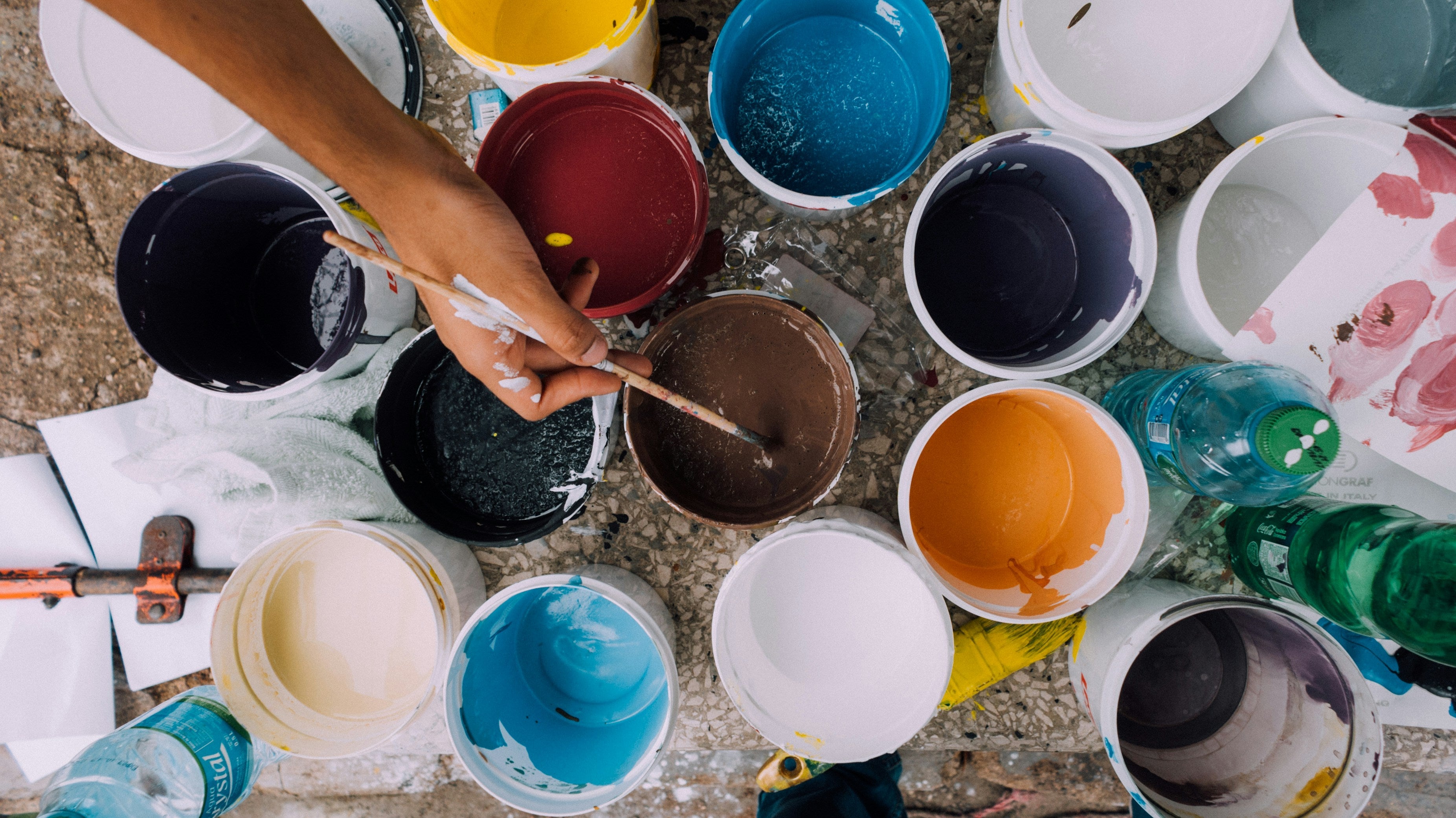 Everything You Need to Know About House Painting Services