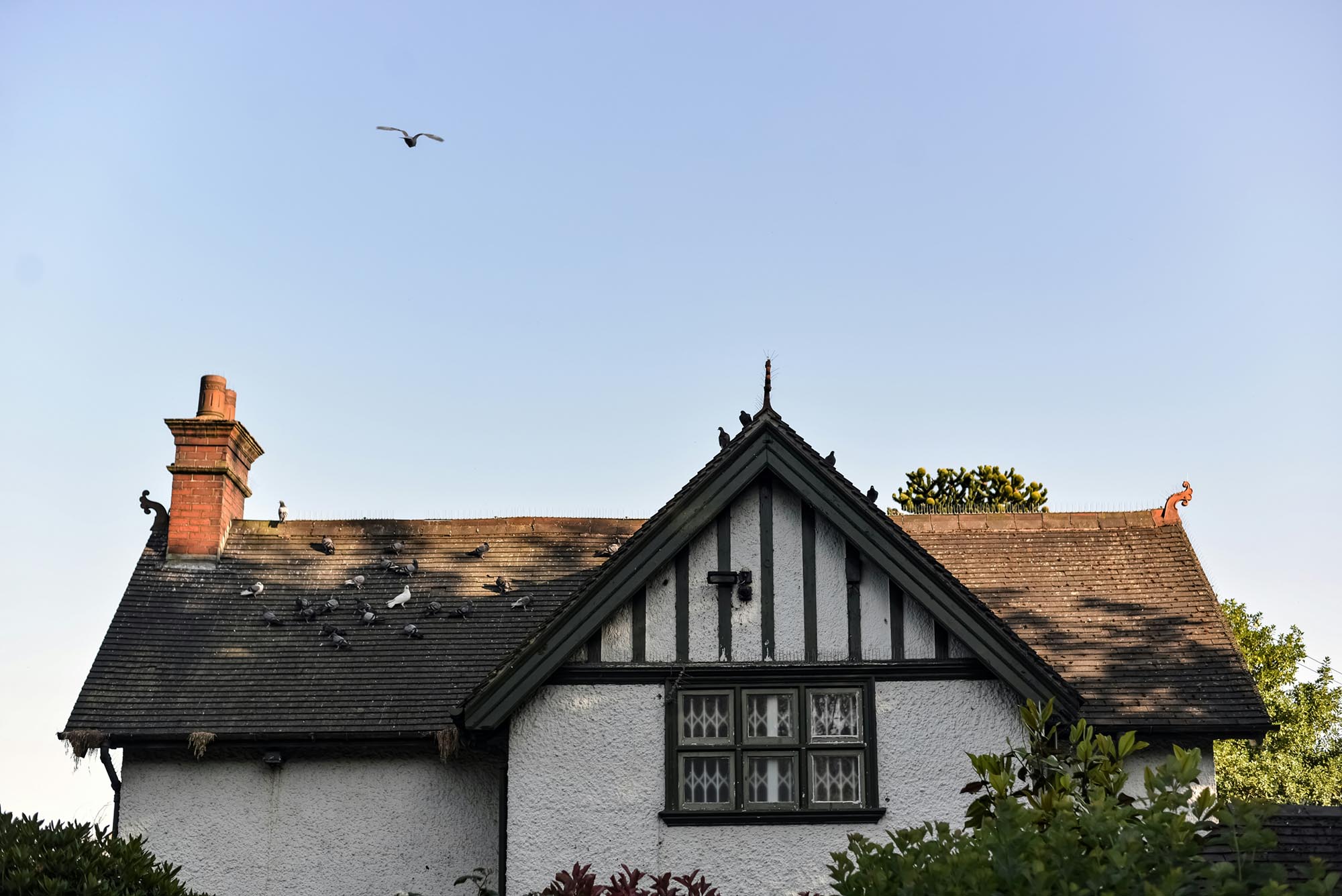 Why a Damaged Roof Leads to Interior Home Issues