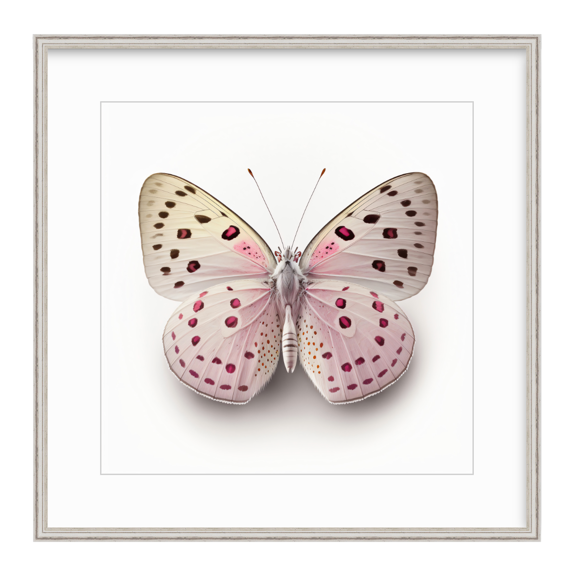 Pink Butterfly Shadow Box Fine Art Print