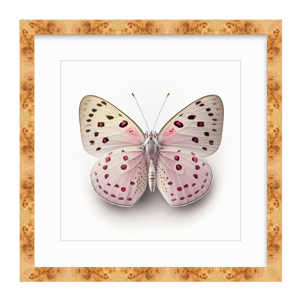 Pink Butterfly Shadow Box Fine Art Print