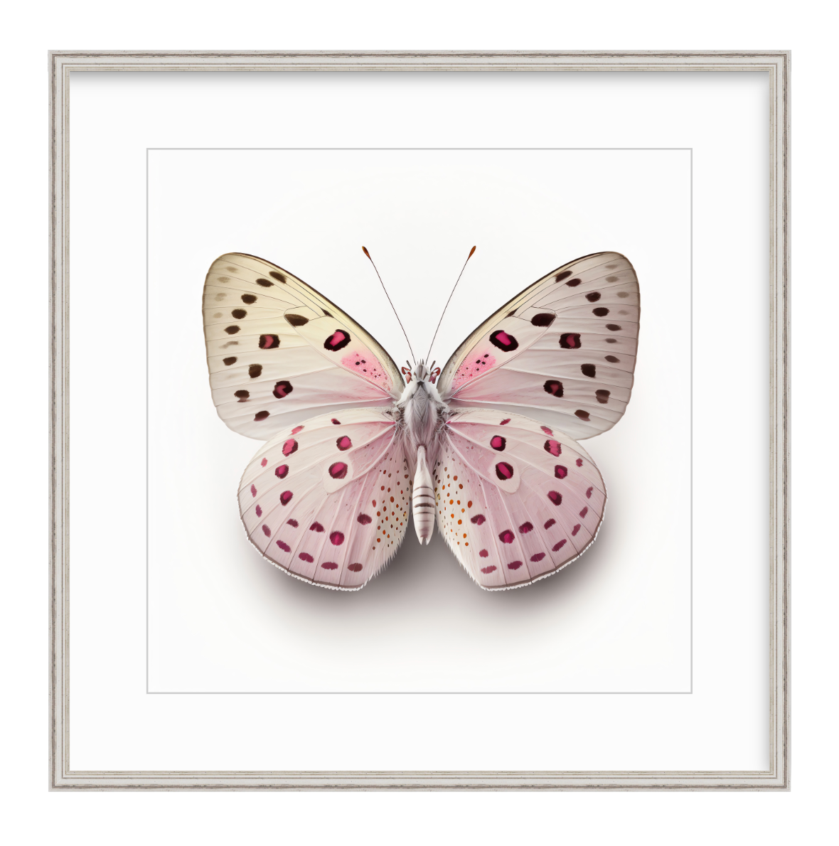 Pink Butterfly Shadow Box Fine Art Print by Kevin Francis Design | Luxury Area Rugs & Home Decor