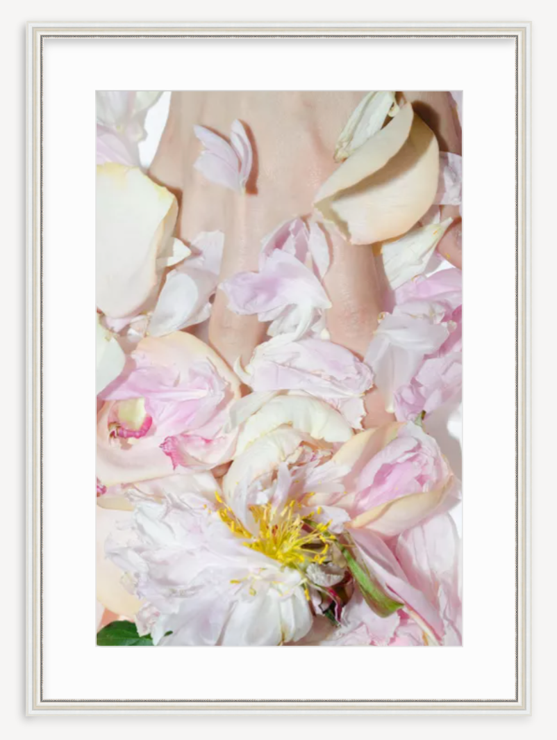 Peony With Flash - Kevin Francis Design