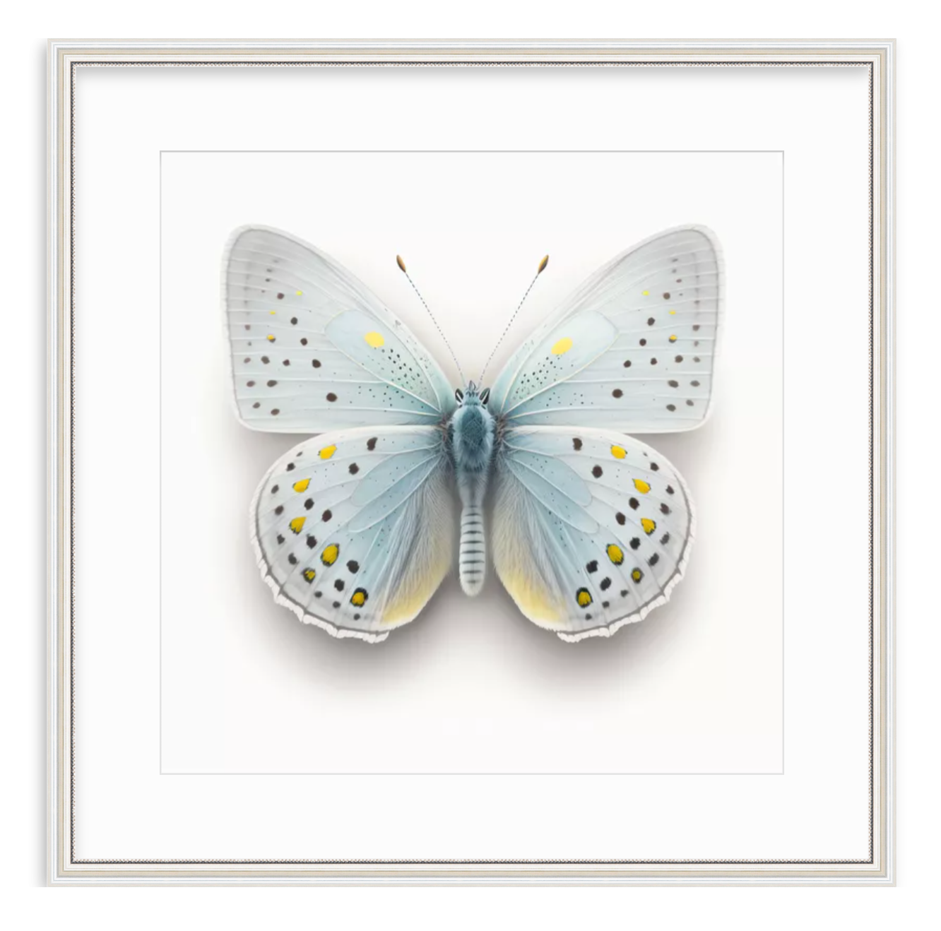 Blue Butterfly Shadow Box Fine Art Print by Kevin Francis Design | Atlanta Interior Designer | Luxury Home Decor