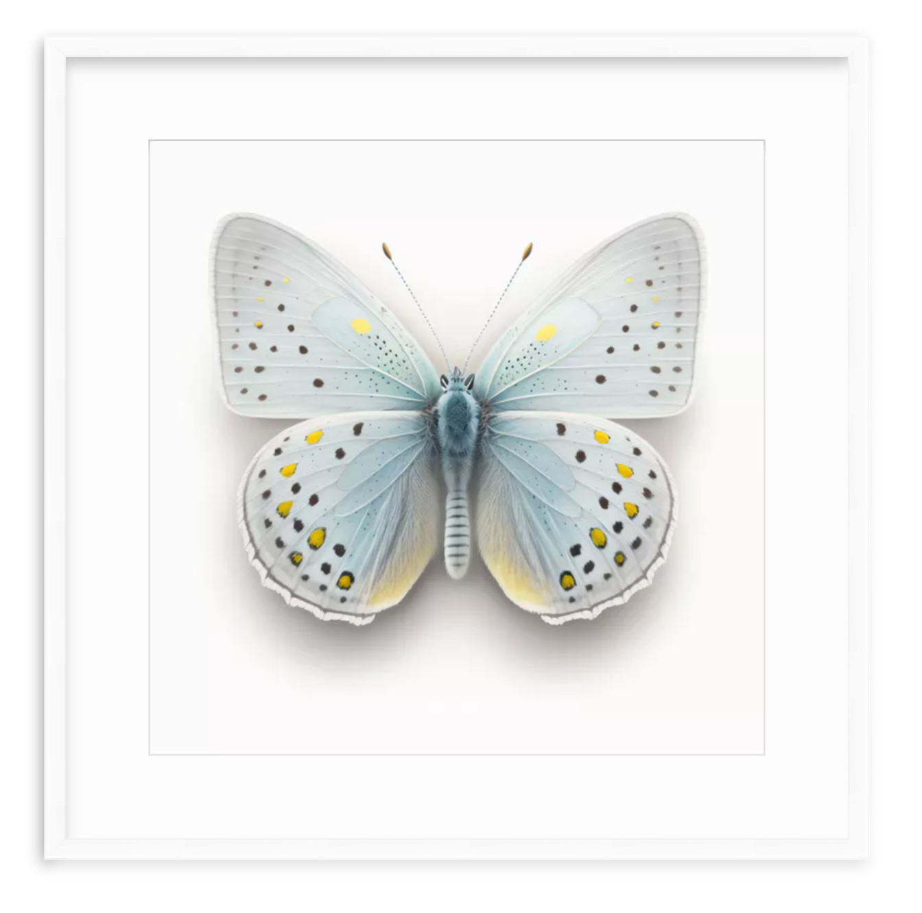Blue Butterfly Shadow Box Fine Art Print by Kevin Francis Design | Atlanta Interior Designer | Luxury Home Decor