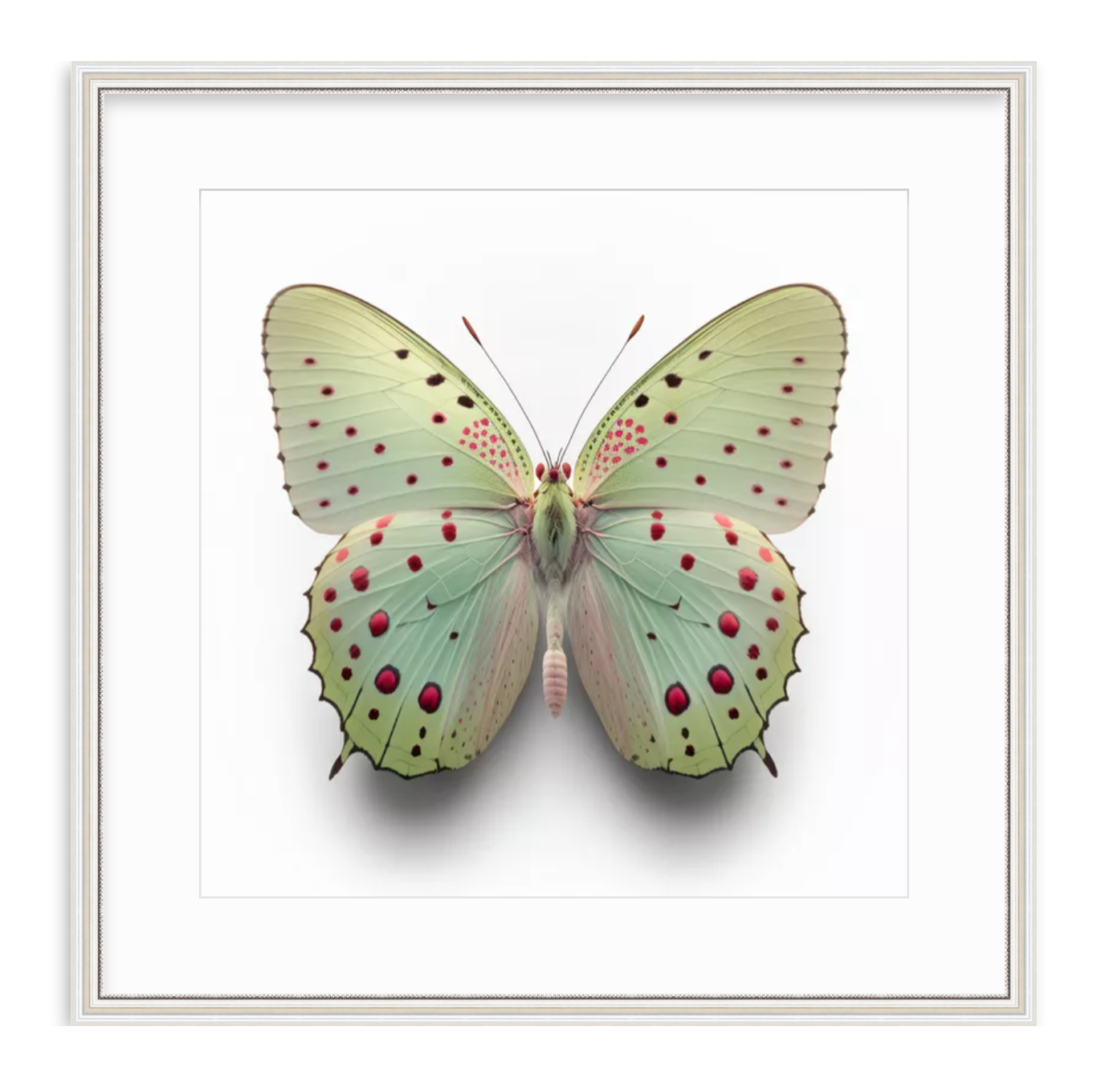 Green Butterfly Shadow Box Fine Art Print by Kevin Francis Design | Atlanta Interior Designer | Luxury Home Decor