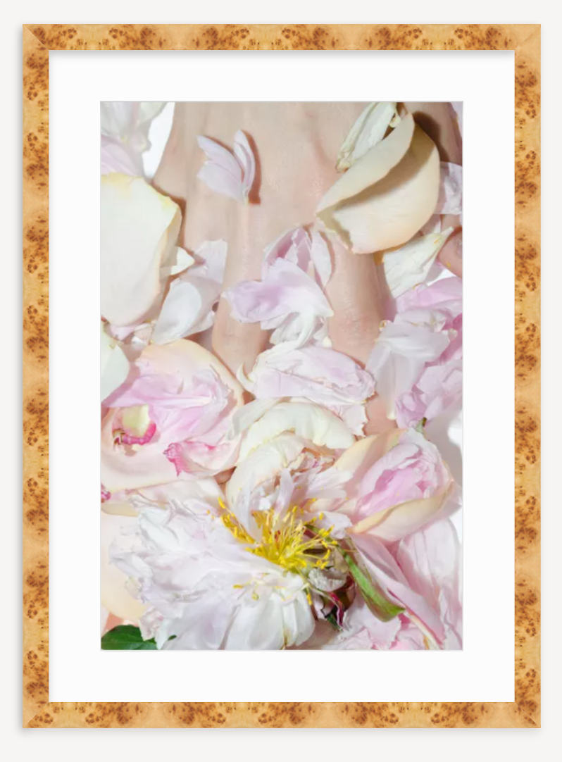 Peony With Flash - Kevin Francis Design