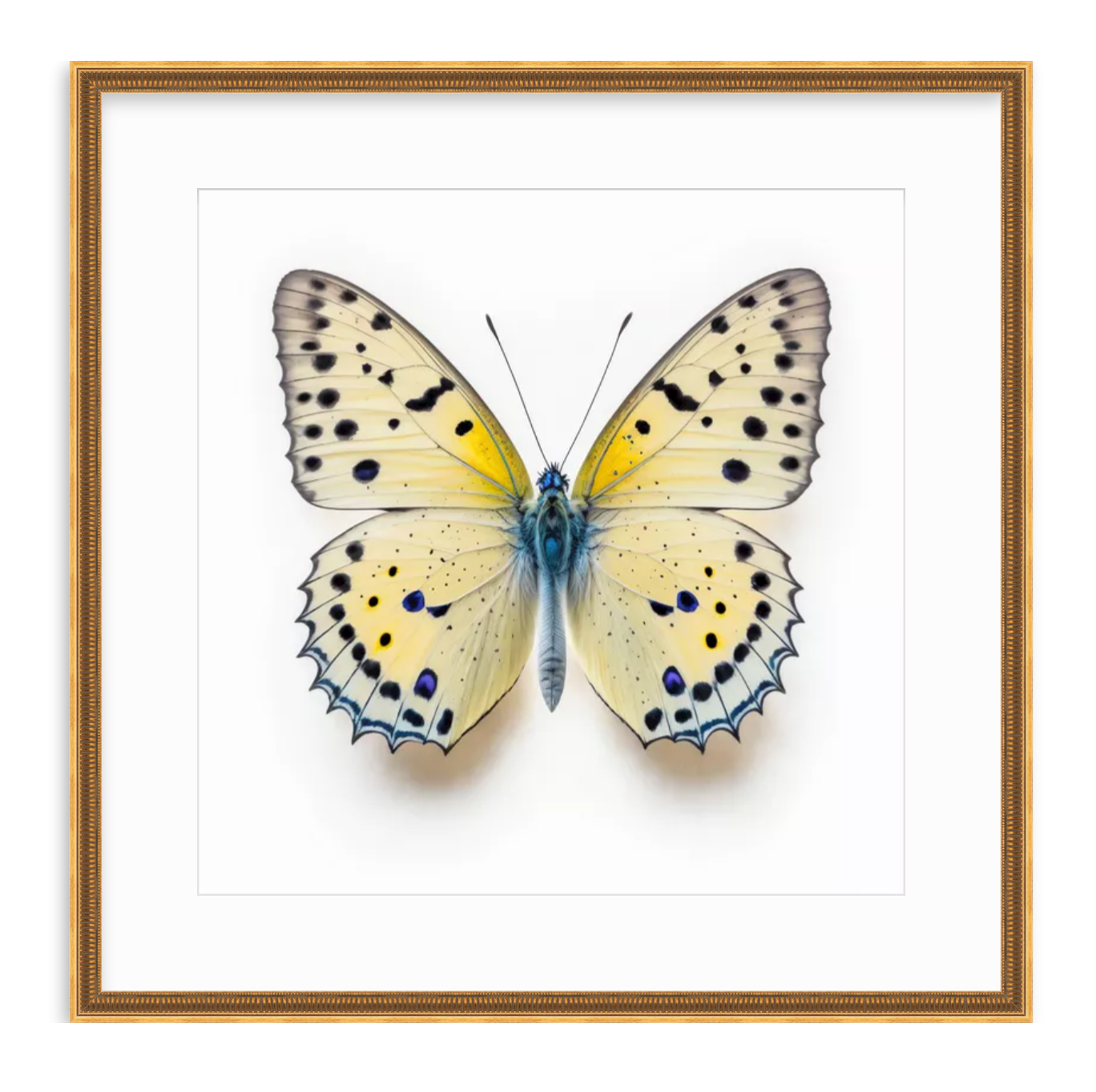 Yellow Butterfly Shadow Box Fine Art Print by Kevin Francis Design | Atlanta Interior Designer | Luxury Home Decor