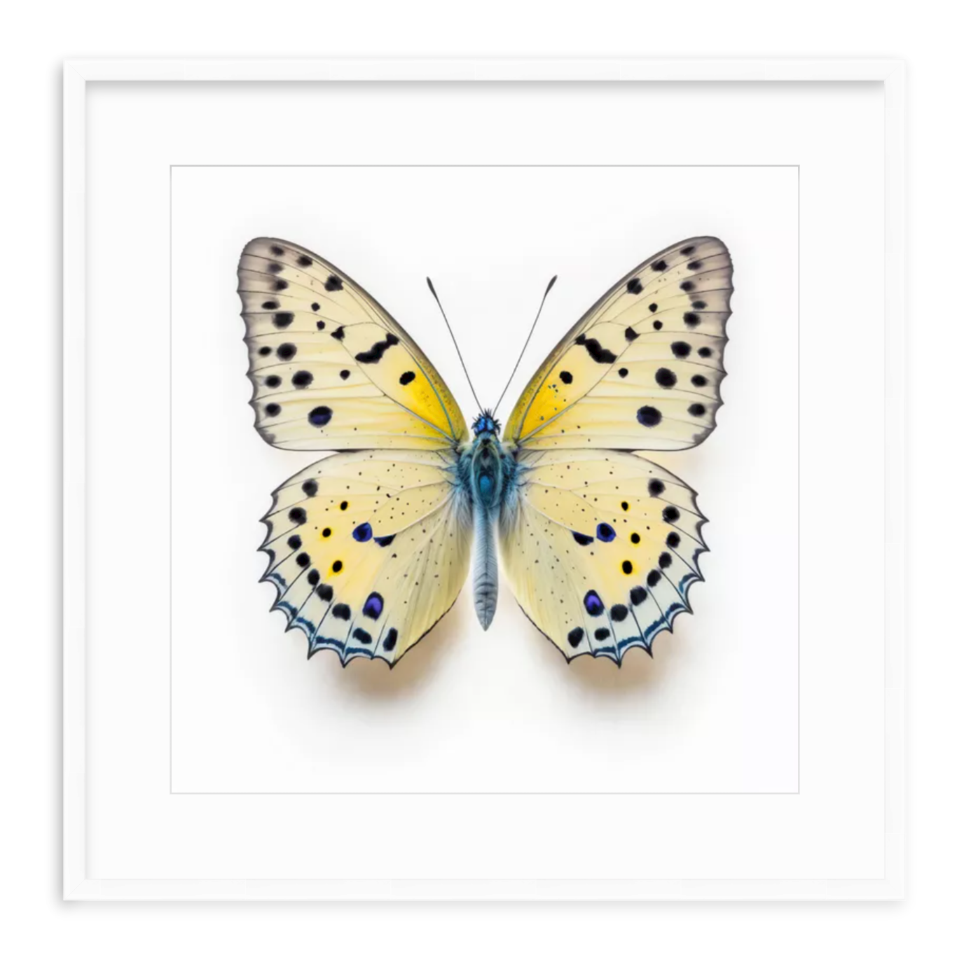 Yellow Butterfly Shadow Box Fine Art Print by Kevin Francis Design | Atlanta Interior Designer | Luxury Home Decor