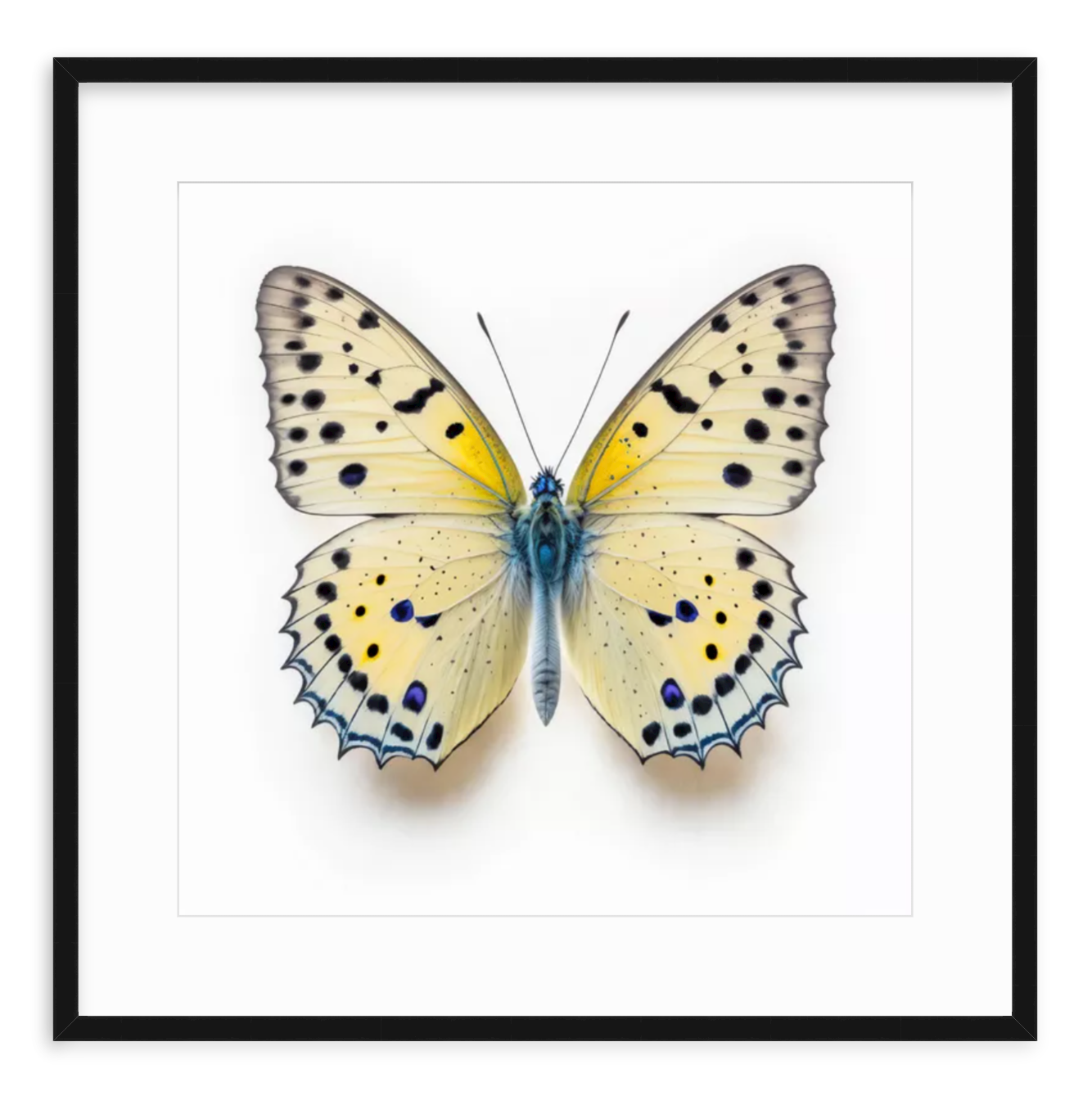 Yellow Butterfly Shadow Box Fine Art Print by Kevin Francis Design | Atlanta Interior Designer | Luxury Home Decor